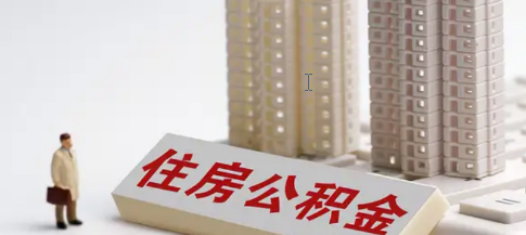 多地住房公積金政策出現新變化，(監獄專用全高旋轉閘通道閘機系